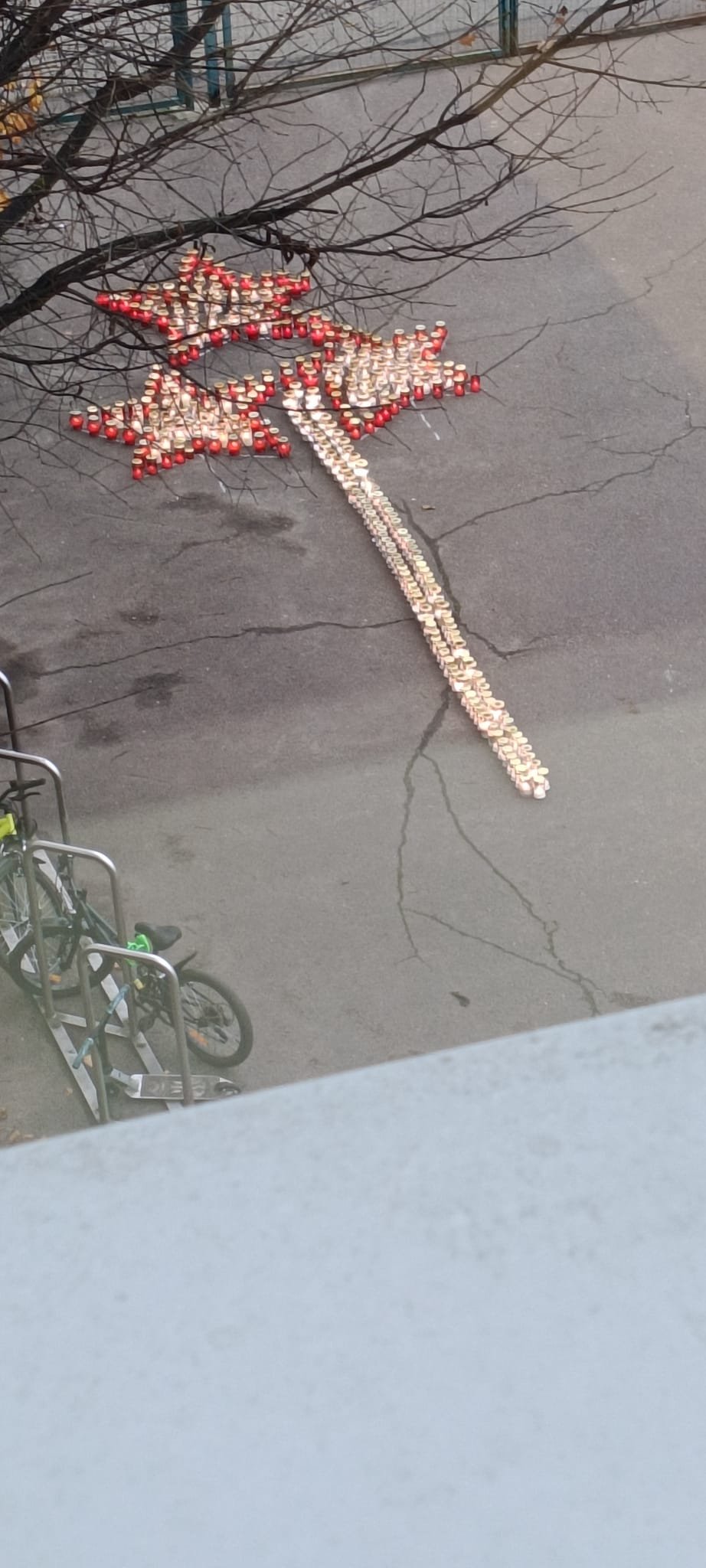 WhatsApp Image 2025-11-13 at 11.42.42.jpeg