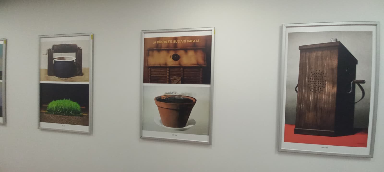 WhatsApp Image 2025-11-13 at 12.11.17.jpeg