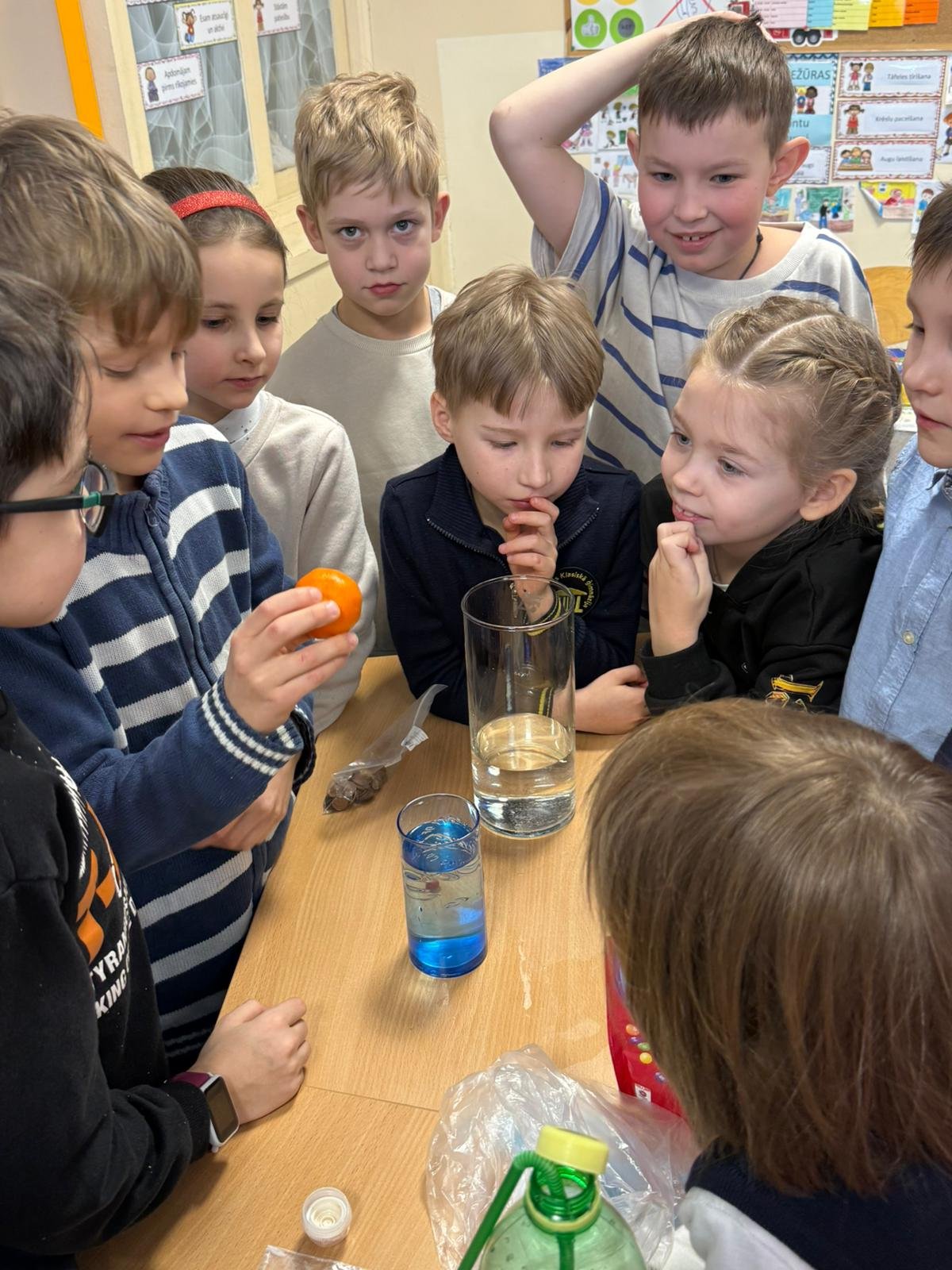 WhatsApp Image 2026-02-03 at 11.48.10 (3).jpeg